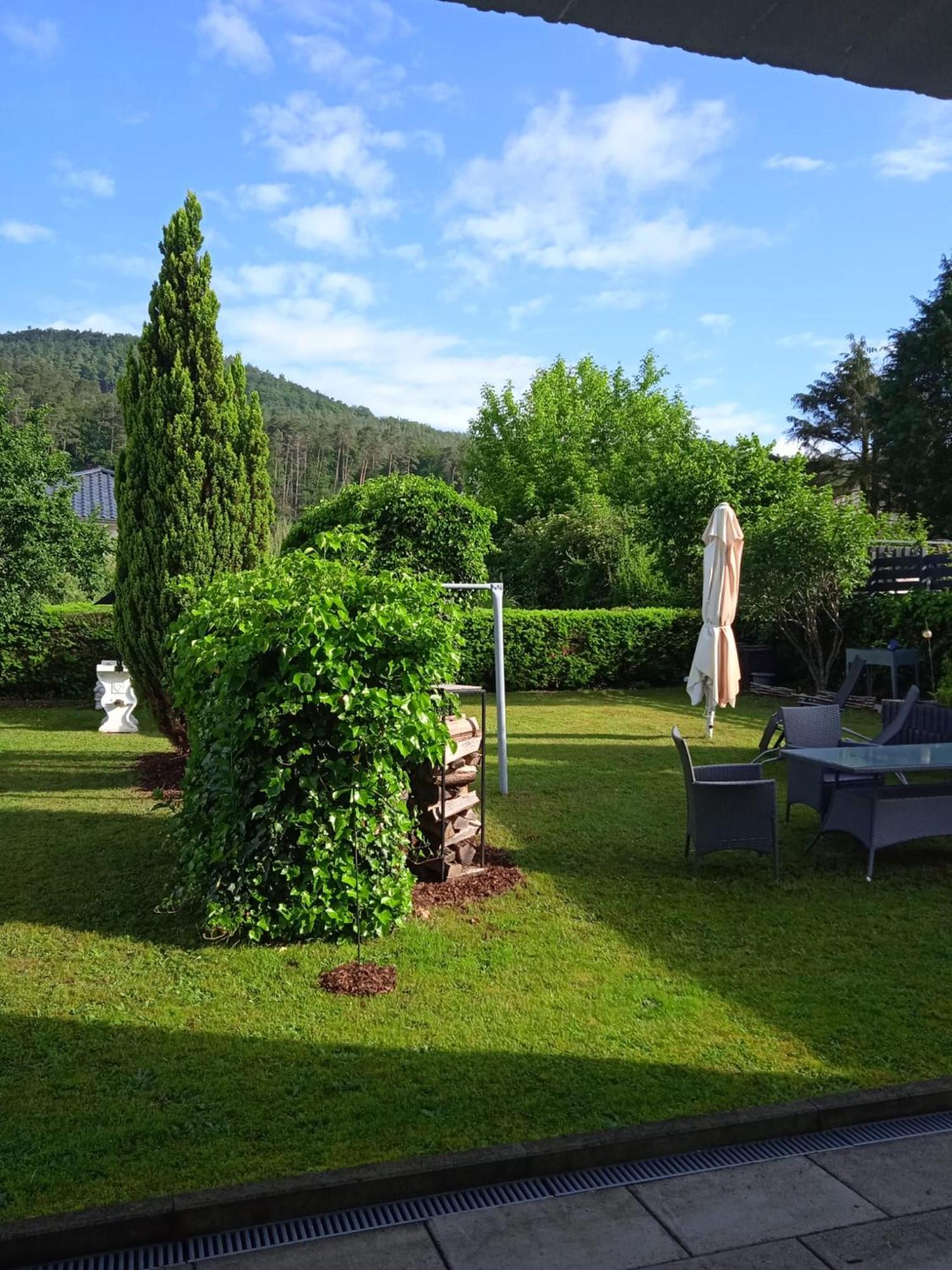 Ferienwohnung In Dahn Esterno foto